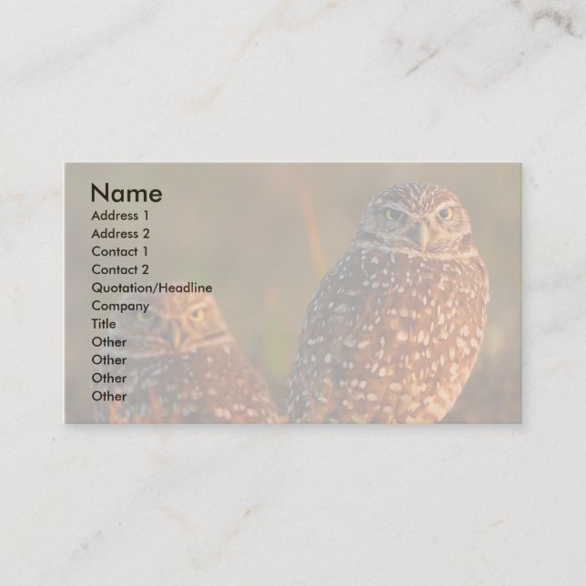 Visite profil ou carte de visite, creusant des hiboux (Devant)