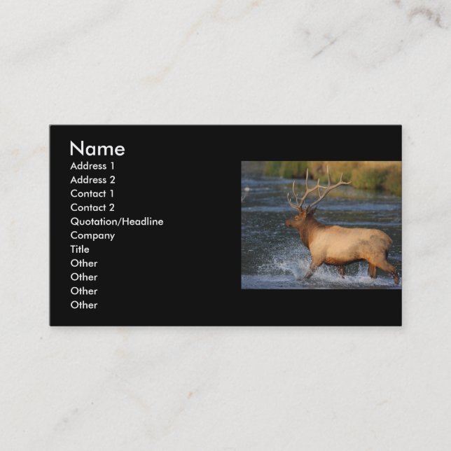 Visite profil ou carte de visite, éclaboussure d'élans (Devant)