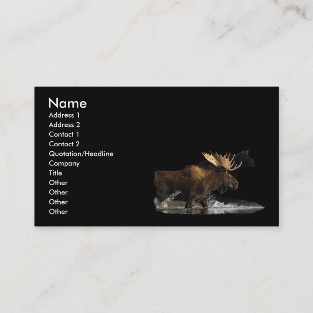Visite profil ou carte de visite, éclaboussure d'orignaux (Devant)