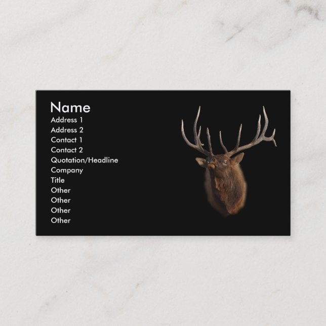 Visite profil ou carte de visite, élan (Devant)