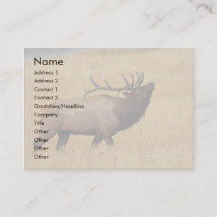 Visite profil ou carte de visite, élan