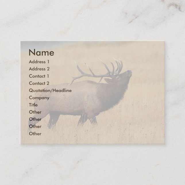 Visite profil ou carte de visite, élan (Devant)