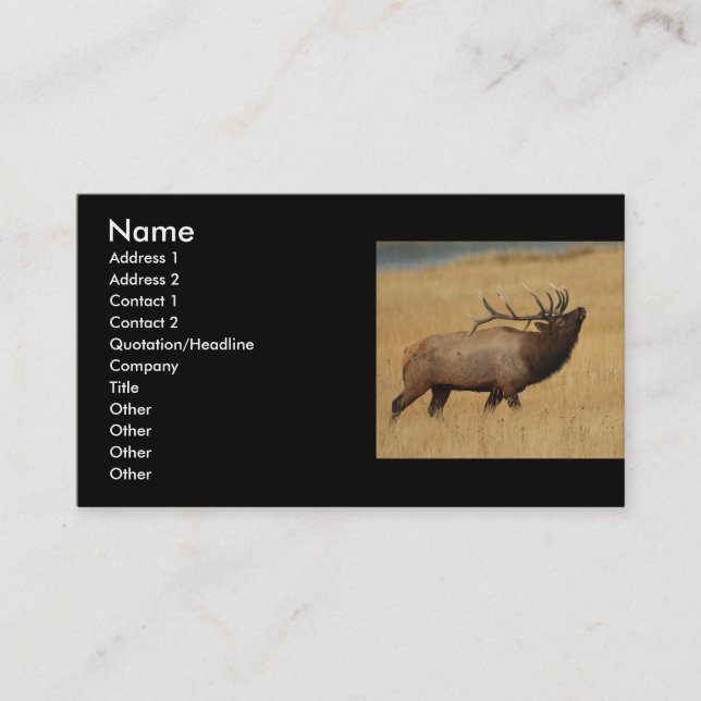 Visite profil ou carte de visite, élan (Devant)