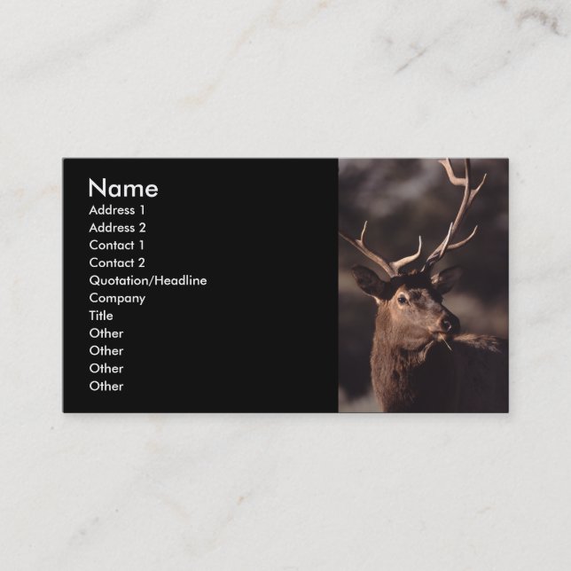 Visite profil ou carte de visite, élan (Devant)