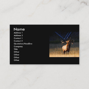 Visite profil ou carte de visite, élan