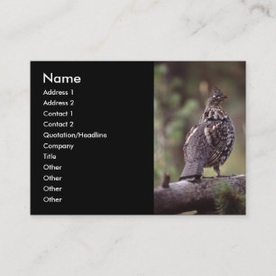 Visite profil ou carte de visite, grouse