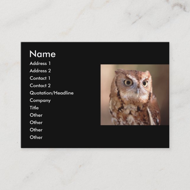 Visite profil ou carte de visite, hibou (Devant)