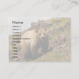Visite profil ou carte de visite, ours gris