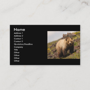 Visite profil ou carte de visite, ours gris