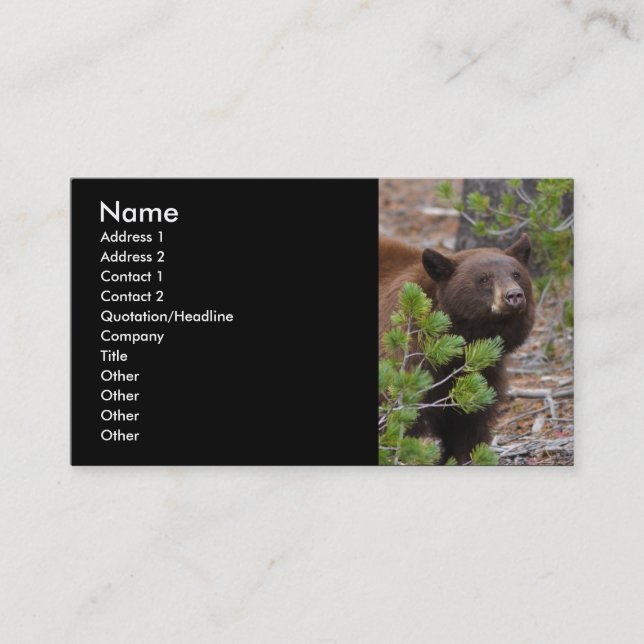 Visite profil ou carte de visite, ours noir (Devant)