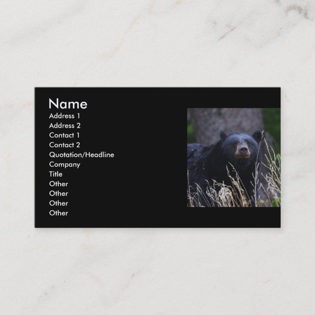 Visite profil ou carte de visite, ours noir (Devant)