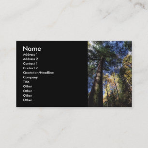 Visite profil ou carte de visite, peuplement vieux