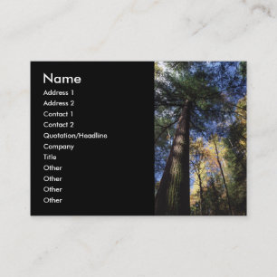 Visite profil ou carte de visite, peuplement vieux