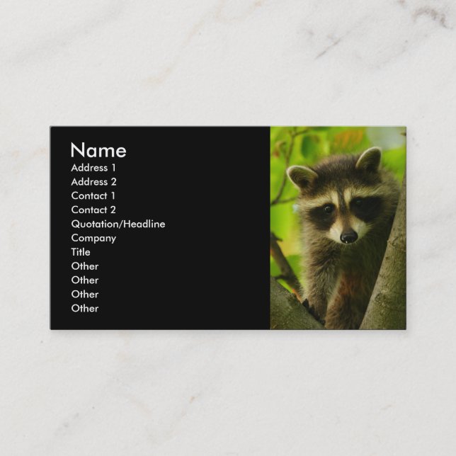 Visite profil ou carte de visite, raton laveur (Devant)