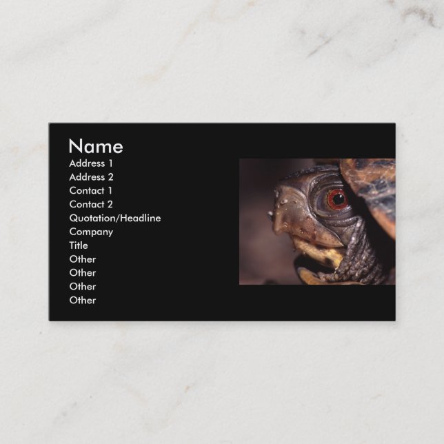 Visite profil ou carte de visite, tortue (Devant)