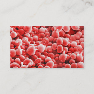 Visite Spores botaniques - arrière - plan rose de carte