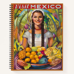 Visite vintage Carnet du Mexique