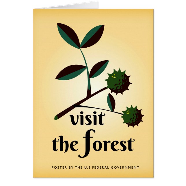 Visitez l'affiche vintage de la forêt USA. (Devant)