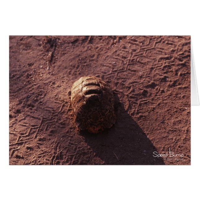 Vitesse (Devant horizontal)