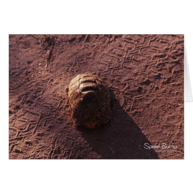 Vitesse (Devant Horizontal)