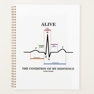 Vivant La Condition De Mon Existence Rythme Sinusa