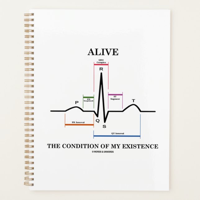 Vivant La Condition De Mon Existence Rythme Sinusa (Devant)