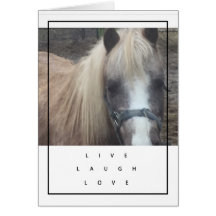 VIVANT, RIRE, PONEY D'AMOUR - CARTE VIERGE