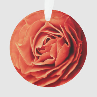 vivant rose