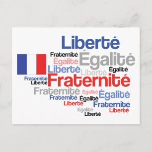 Vive La France Carte postale du drapeau français F