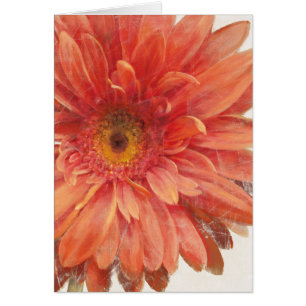 Vivid Daisy