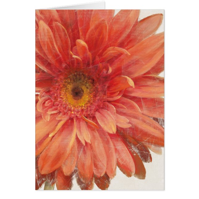 Vivid Daisy (Devant)