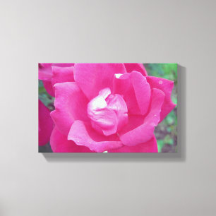 Vivid Rose rose vif photo toile étirée