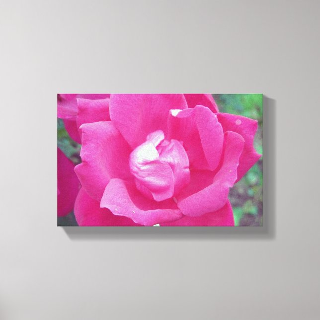 Vivid Rose rose vif photo toile étirée (Recto)
