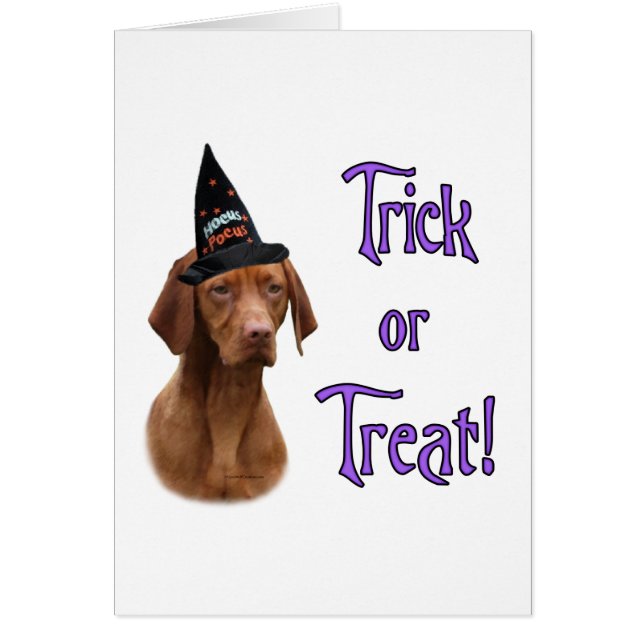 Vizsla Trick (Devant)