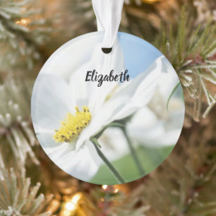 Vœux avec des marguerites blanches personnalisés