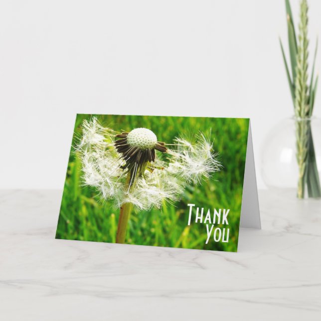 Voeux de Dandelion - Merci d'être mon souhait (Devant)