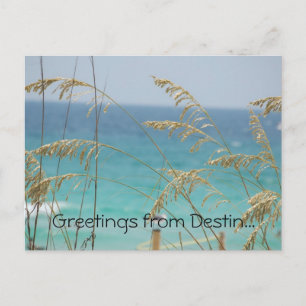 Voeux de la carte postale Destin