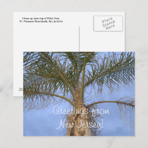 Voeux de Palm Tree de carte postale de NJ