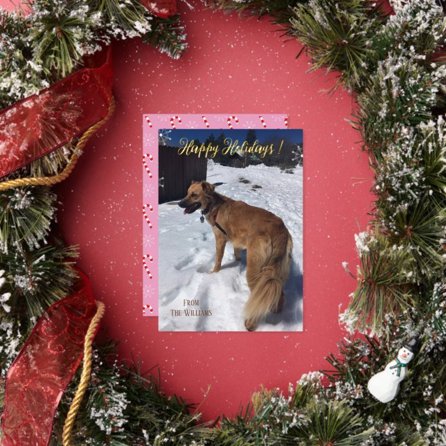 Vœux En Aluminium Carte de Noël à paillettes dorées avec photo de ch (Insitu)