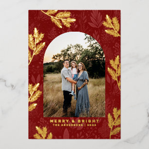 Vœux En Aluminium Carte Festive Red Arch Frontière photo de Noël