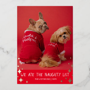 Vœux En Aluminium Nous mangeons la liste vilaine Pet Foil Carte de v