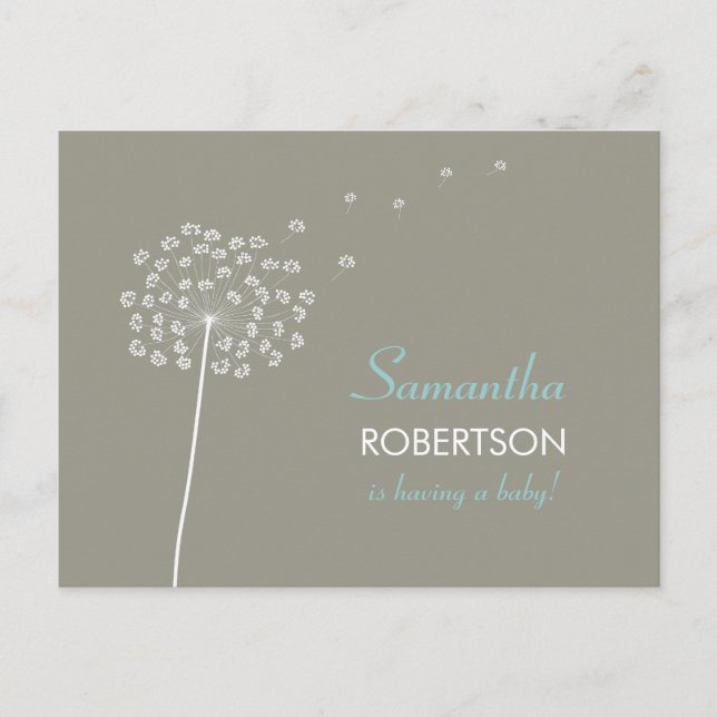 Voeux pour l'invitation de carte postale Baby show (Devant)