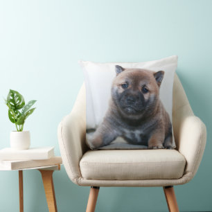 Voici un précieux chiot Akita, Coussin