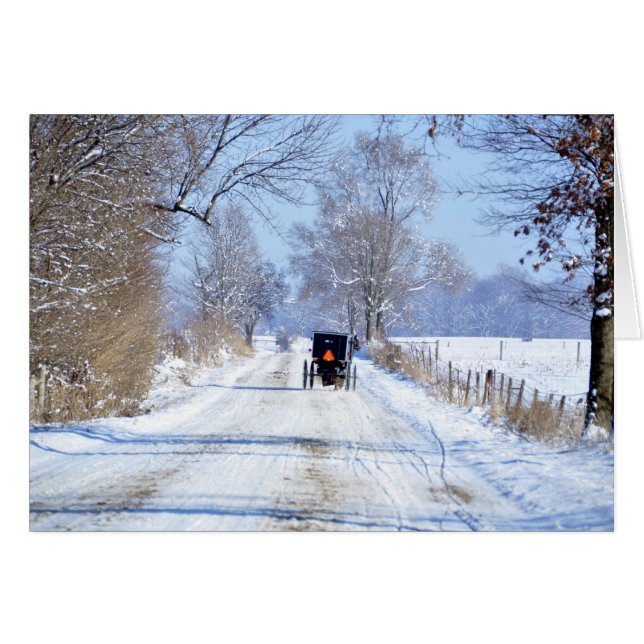 Voie neigeuse dans le pays Amish (Devant Horizontal)