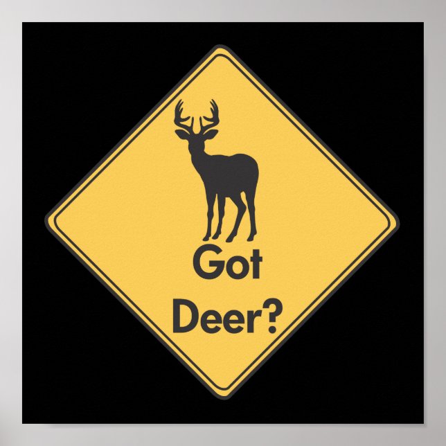 Voie - Vous Avez Un Cerf ? Affiche (Devant)
