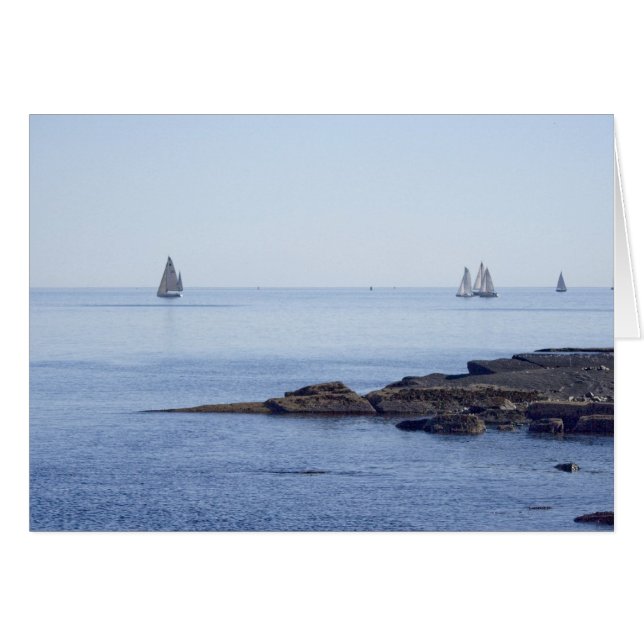Voile (Devant horizontal)