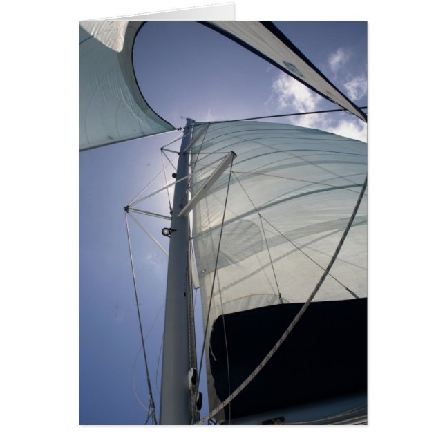 Voile (Devant)