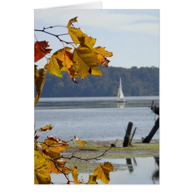 Voile automne, photo automne, carte blanche (Devant)