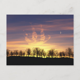 Voilier la carte postale du ciel nocturne