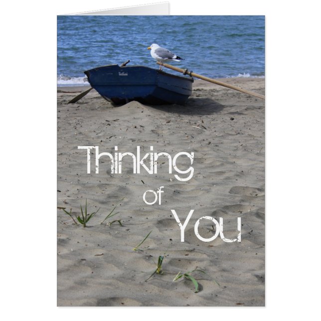 Voilier Seagull (Devant)